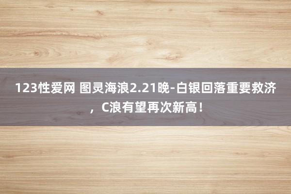 123性爱网 图灵海浪2.21晚-白银回落重要救济，C浪有望再次新高！