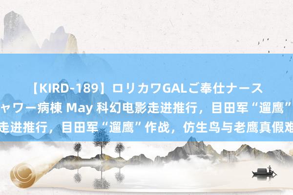 【KIRD-189】ロリカワGALご奉仕ナース 大量ぶっかけザーメンシャワー病棟 May 科幻电影走进推行，目田军“遛鹰”作战，仿生鸟与老鹰真假难辨