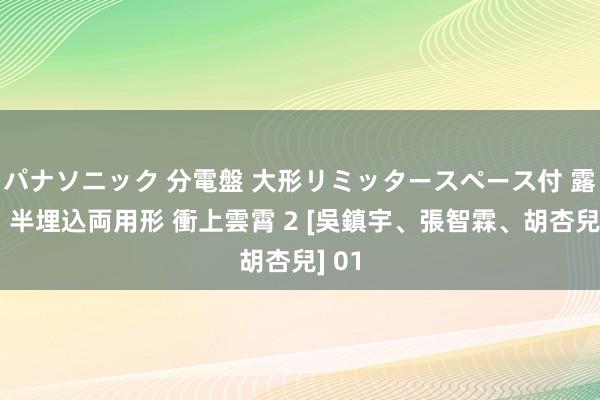 パナソニック 分電盤 大形リミッタースペース付 露出・半埋込両用形 衝上雲霄 2 [吳鎮宇、張智霖、胡杏兒] 01