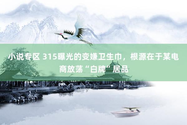 小说专区 315曝光的变嫌卫生巾，根源在于某电商放荡“白牌”居品