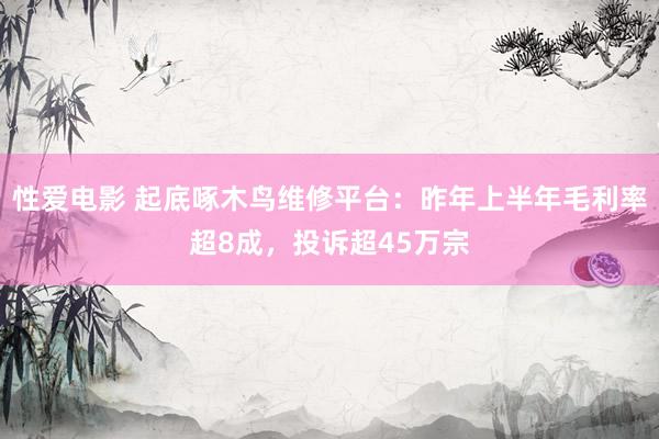 性爱电影 起底啄木鸟维修平台：昨年上半年毛利率超8成，投诉超45万宗