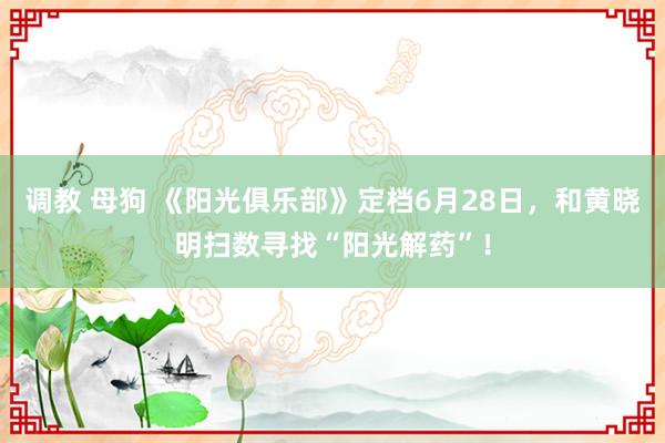 调教 母狗 《阳光俱乐部》定档6月28日，和黄晓明扫数寻找“阳光解药”！