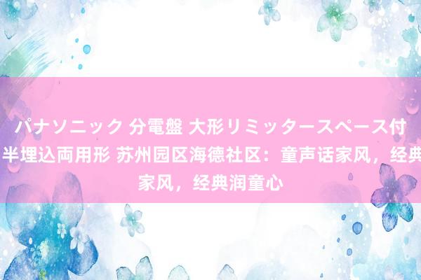 パナソニック 分電盤 大形リミッタースペース付 露出・半埋込両用形 苏州园区海德社区：童声话家风，经典润童心