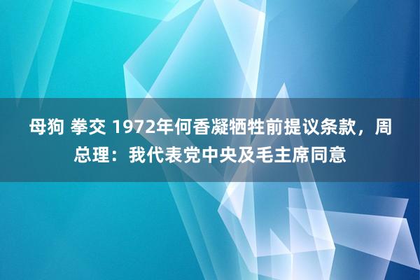 母狗 拳交 1972年何香凝牺牲前提议条款，周总理：我代表党中央及毛主席同意