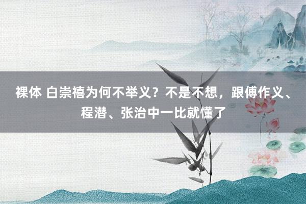 裸体 白崇禧为何不举义？不是不想，跟傅作义、程潜、张治中一比就懂了