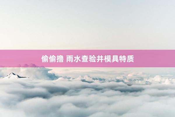 偷偷撸 雨水查验井模具特质