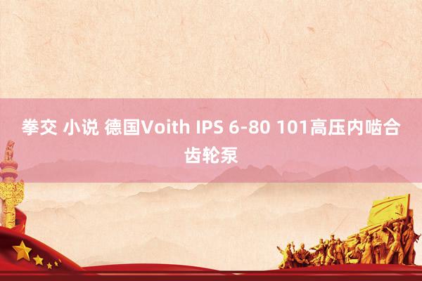 拳交 小说 德国Voith IPS 6-80 101高压内啮合齿轮泵