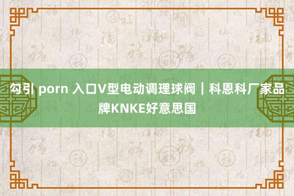 勾引 porn 入口V型电动调理球阀｜科恩科厂家品牌KNKE好意思国