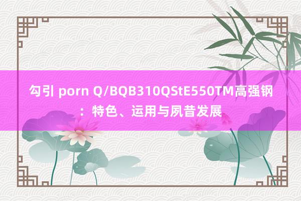勾引 porn Q/BQB310QStE550TM高强钢：特色、运用与夙昔发展