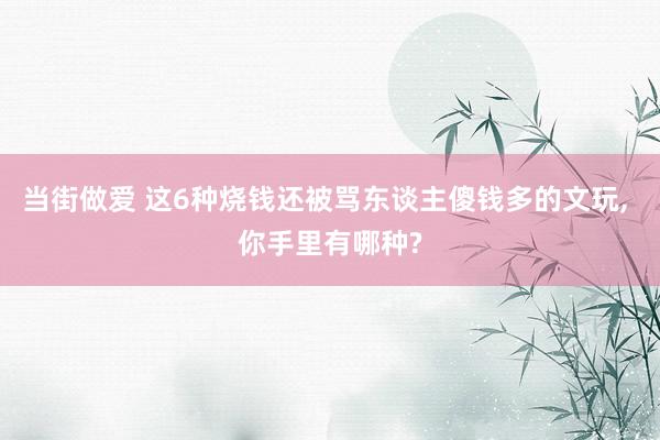 当街做爱 这6种烧钱还被骂东谈主傻钱多的文玩, 你手里有哪种?