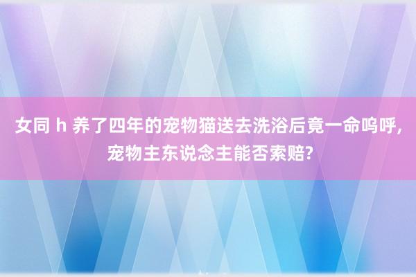 女同 h 养了四年的宠物猫送去洗浴后竟一命呜呼, 宠物主东说念主能否索赔?