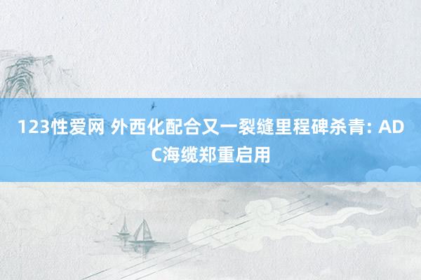 123性爱网 外西化配合又一裂缝里程碑杀青: ADC海缆郑重启用